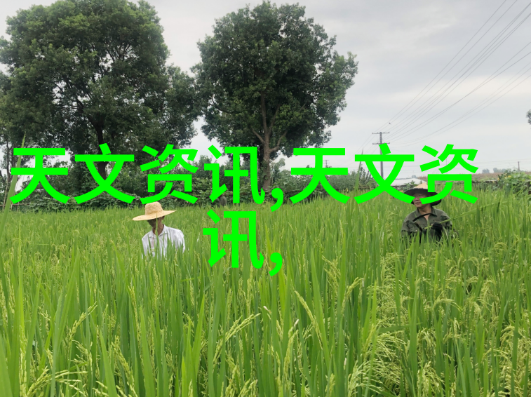 食品灭菌设备技术公司的未来自动化与可持续发展的双刃剑