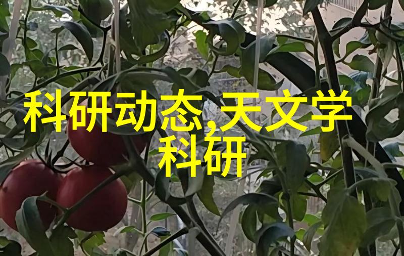 主题我是身份号019的秘密守护者
