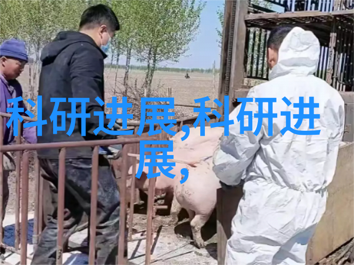 空压机油气分离器的关键功能与运作原理