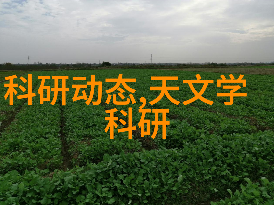 化工液体药品检测我是如何确保每一瓶都安全到手的
