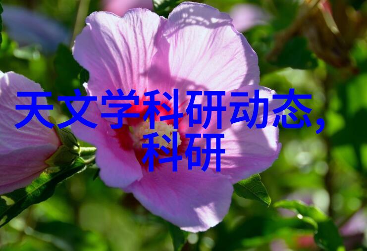 节能省电的智慧选择5p空调革新了夏日生活