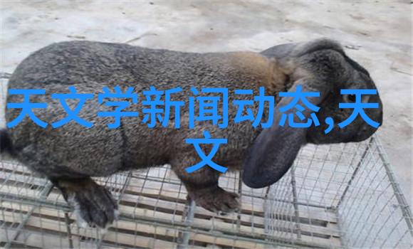 机网之韵中国设备网的诗篇
