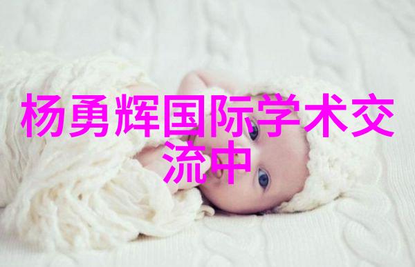 丝网波纹填料装填技巧创意装饰的艺术之旅