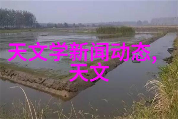 美丽保姆3韩国电影中的复仇与爱情