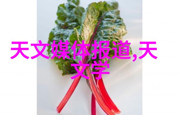 大写湖北人可敬湖北南极科考人