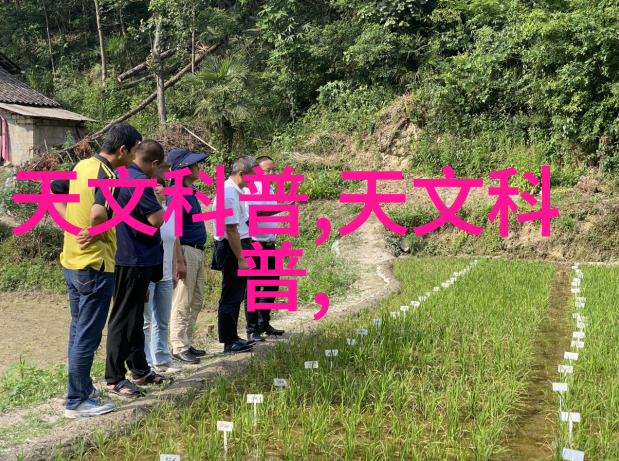 微缩奇迹揭秘芯片的诞生之谜