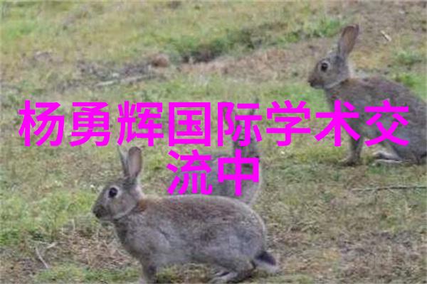 固定床反应器在化学工业中的应用有哪些创新之处