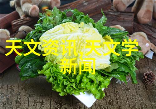 仿石砖的艺术与实用探索现代建筑中古典美的复兴