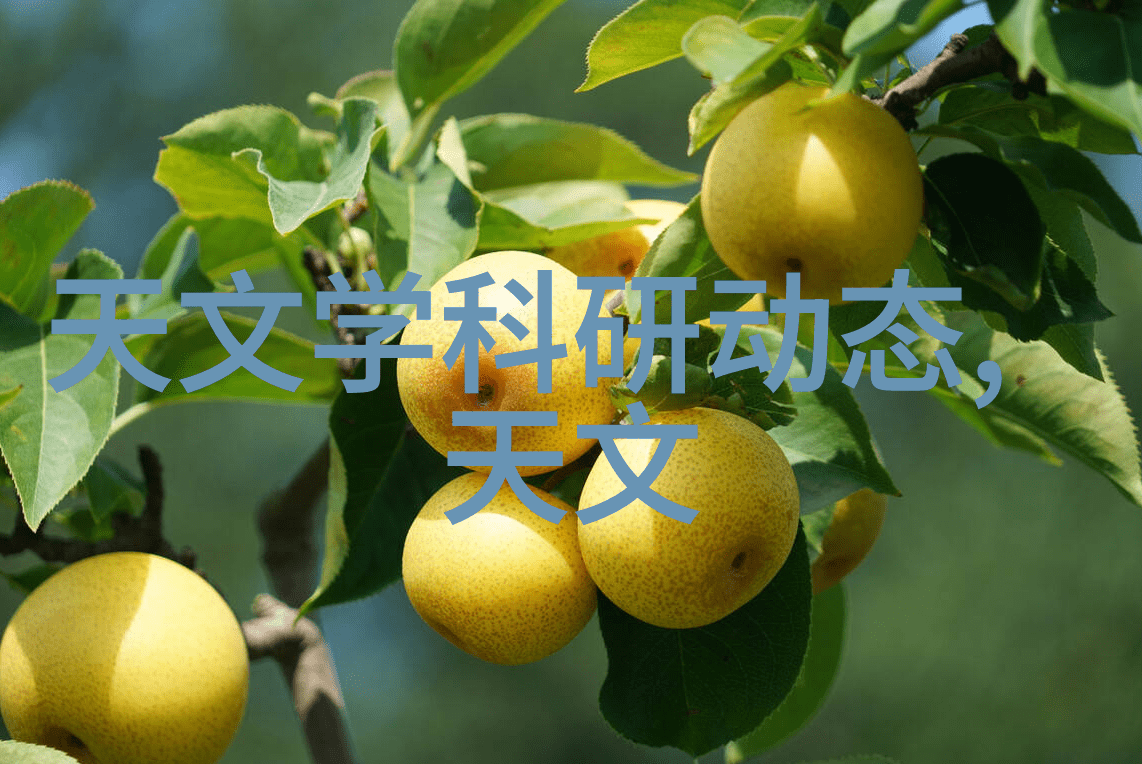实验室设备生产厂家精密仪器制造专家