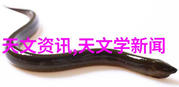居家美学梦想空间的装饰艺术