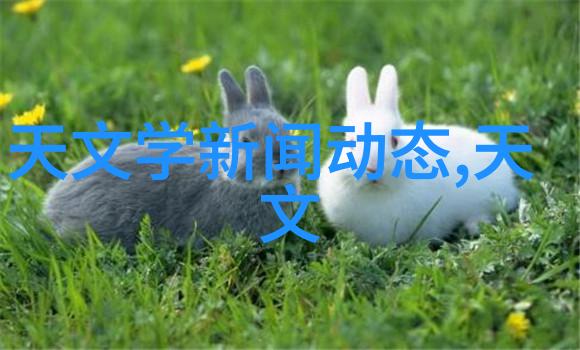 节省成本提升品质餐厅必备的用油设备之一