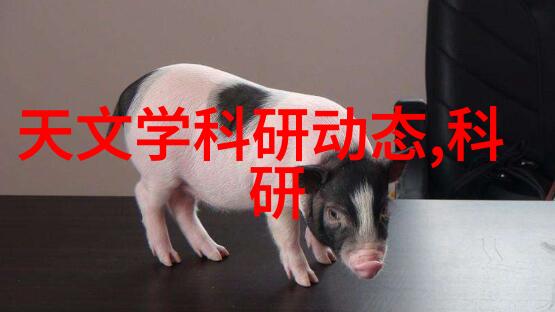 宝书汇编珍藏与探索