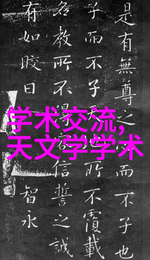 青睐有加我是如何让我的猫咪成为小明星的