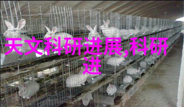 东风汽车配件网上商城官网-东风全能配备您的车辆专属生活解决方案
