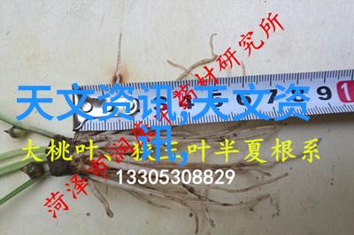 食用菌灭菌设备的基本类型及其特点