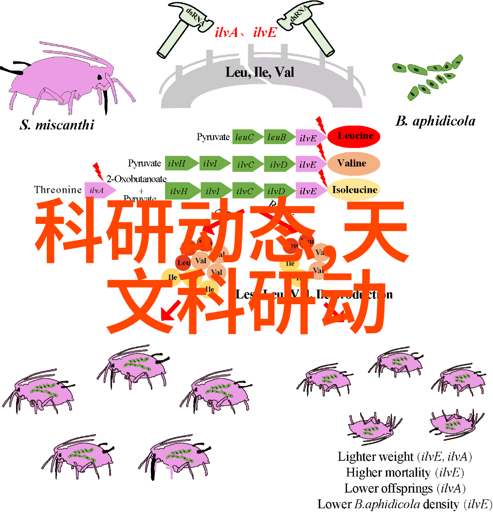 不锈钢有哪些亲测那些超实用的应用场景