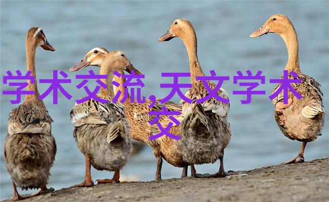 消防钢管涂塑技术的创新与应用实践