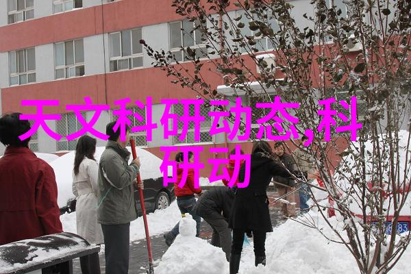 我坐在学长的鸡上写作业学长家里的宠物鸡成了我的新书桌