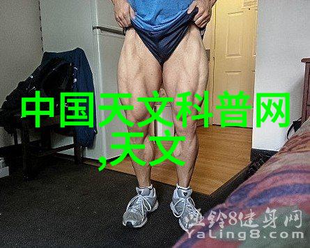 津渝视频宝库揭秘百度云盘中的完整视觉盛宴