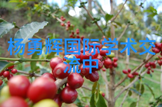 农村小型净水设备-乡村清泉农村小型净水设备的选择与应用