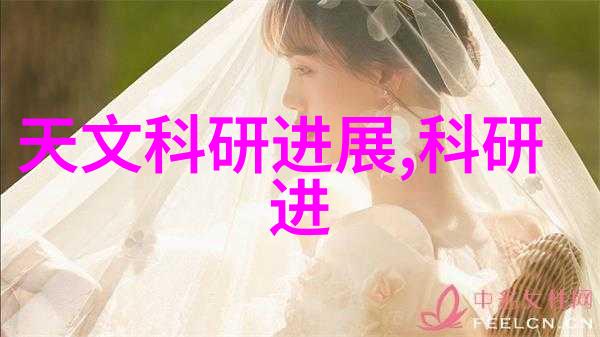 市场动态2022年11月最新价格行情概览