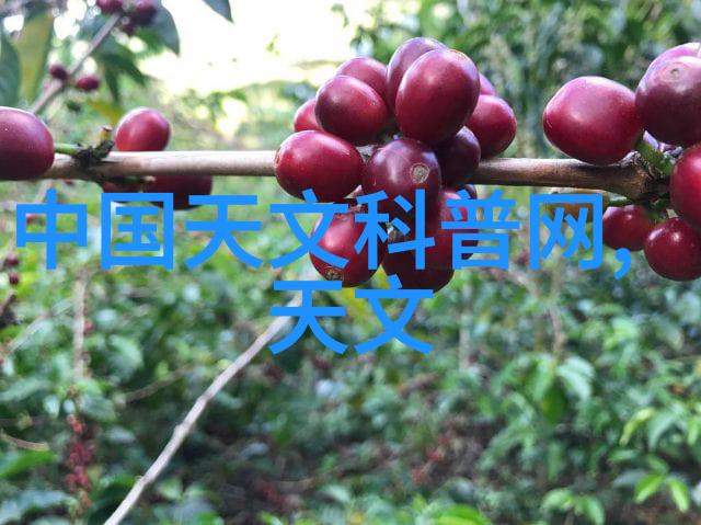 水质检测分析仪-精准监测水质检测分析仪在环境保护中的重要角色