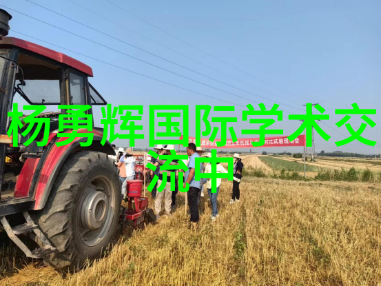云缨巡街遭受欺凌云缨巡街不幸遭遇的欺负事件