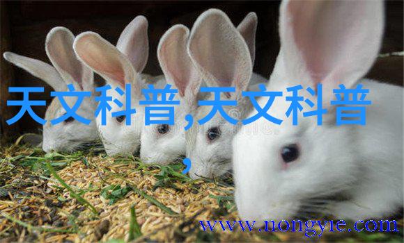 如何从室内装修图片中获取灵感并将其转化为现实生活中的设计方案
