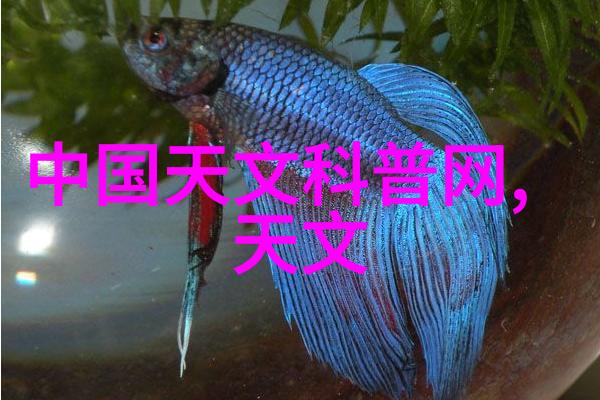 生态文明建设下的农村自来水处理新思路