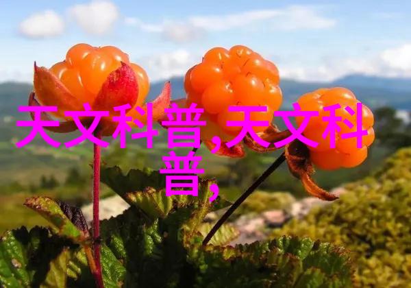 探索数字时代的评测之旅免费测评网站的奇迹与挑战