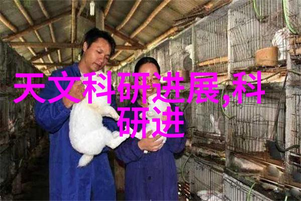 快穿之浪妇系统H逆袭红颜