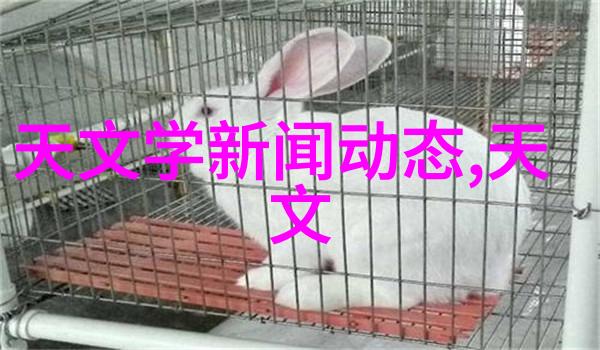 市场经济波动对建筑工程水电造价价格有何影响