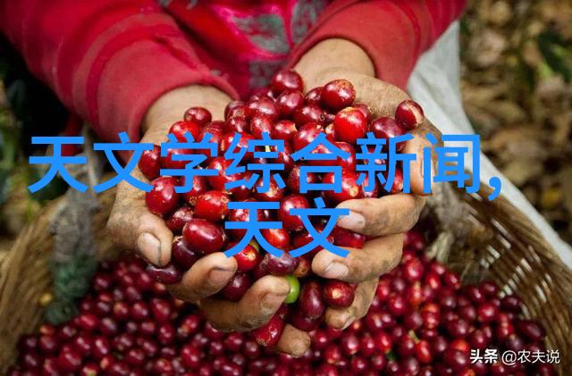 主题我儿子的儿童房变成了他的小世界