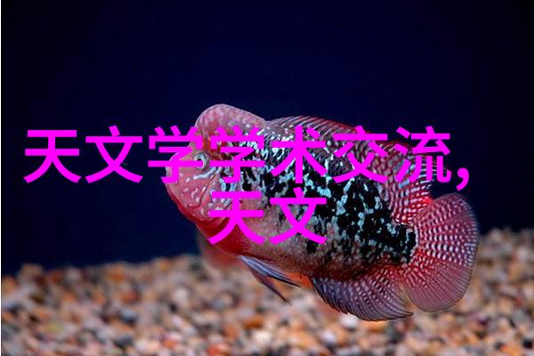废旧物品的新生探索绿色回收的未来