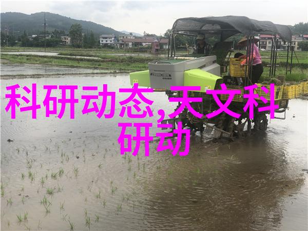 家居美化指南从空间规划到装饰细节的全方位攻略