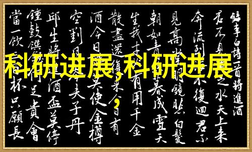 中央政府是如何确保各地都能够顺利实施这项政策的呢