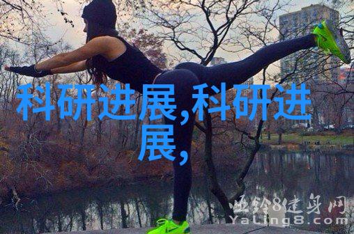 项目资金申请报告摘要