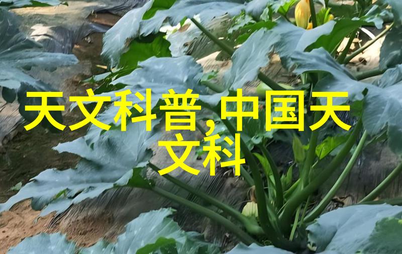 球墨铸铁管耐腐蚀的工业用途管材