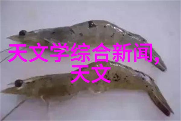 世纪华联与华联股份携手共创百年商业传奇