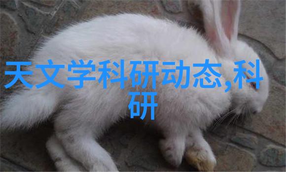 最适合家庭使用的全屋水净化系统高效去除重金属与杂质