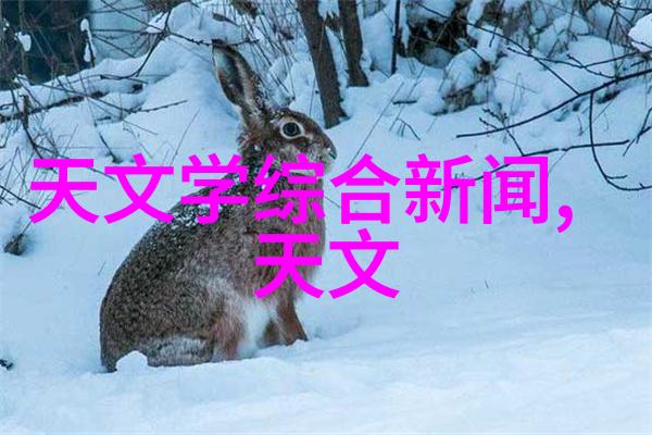 闪耀不锈钢材质对比之旅