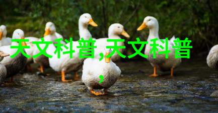 南京财经大学培养金融管理新锐的摇篮