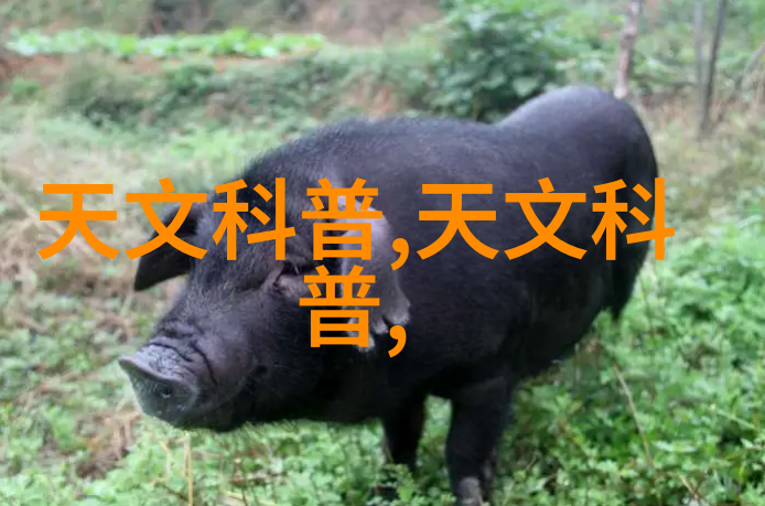 家庭装修设计效果图我家的梦幻居家空间从这里开始