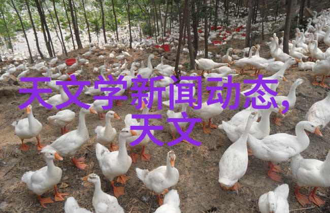雷蒙机在建筑材料加工中的应用