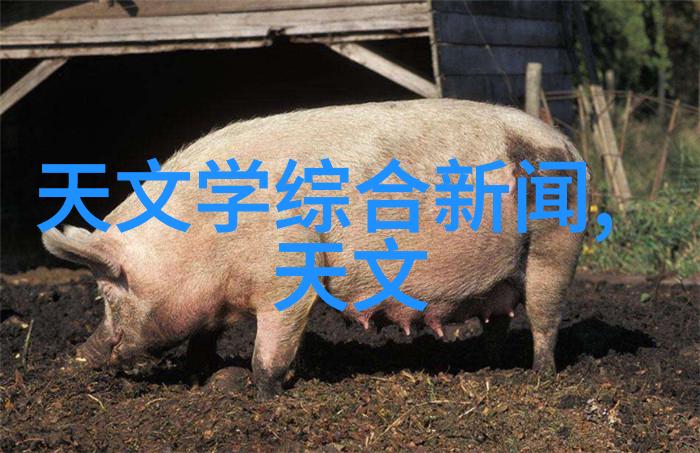 水净之器清泉源自科技的怀抱