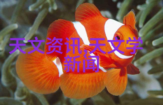 316L不锈钢板价格探究了解每吨的成本