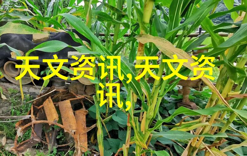 附近不锈钢生产厂家-当地工艺与国际标准探索附近不锈钢生产厂家的创新之路