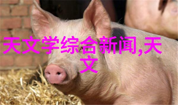 学术风云Mrk231中发现的分子氧犹如夜空中的北极星引领着科学探索的方向