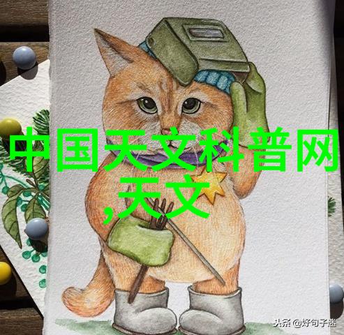 专利转让价格分析与预测