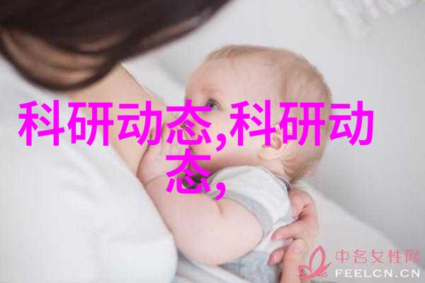 不锈钢输送机的选择与安装指南